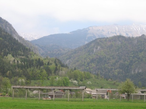 60Ljubljana_Bled_road_11