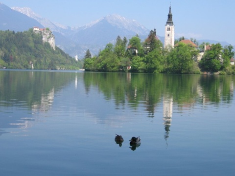 70Bled_18