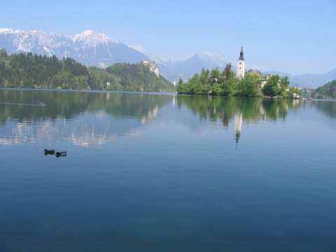 70Bled_19
