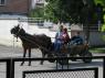 88Bourgas_70_Kraimorie_Horses