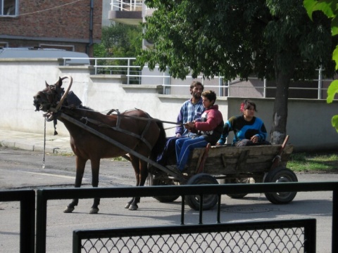 88Bourgas_70_Kraimorie_Horses