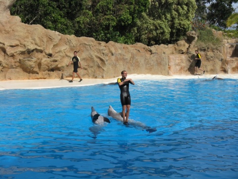 TN_Loro_Parque_31