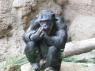 TN_Loro_Parque_45