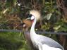 TN_Loro_Parque_63