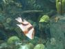 TN_Loro_Parque_75