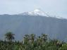 TN_Puerto_de_la_Cruz_18