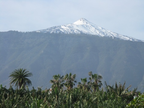 TN_Puerto_de_la_Cruz_18