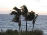 TS_Costa_Adeje_Palms_32