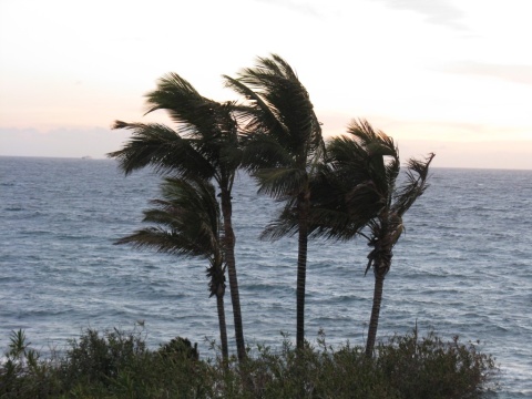 TS_Costa_Adeje_Palms_32
