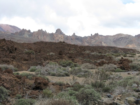 Teide_Boca_de_Tauce_26