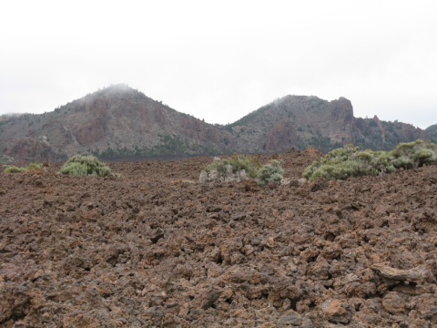 Teide_Boca_de_Tauce_30