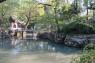 Suzhou_44_Humble_Administrator_Garden