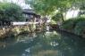 Suzhou_62_Humble_Administrator_Garden