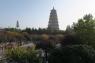 6_Big_wild_gose_pagoda_06