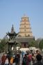 6_Big_wild_gose_pagoda_12