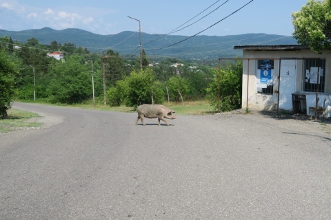 5_Road_Akhaltsikhe_Koutaissi_44