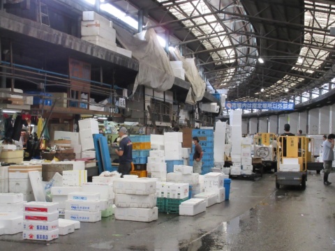 5_Tsukiji_Market_12_b
