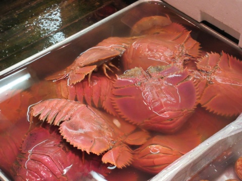 5_Tsukiji_Market_56_b