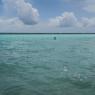 Bacalar