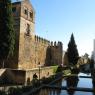 Cordoba