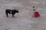 99Madrid_Corrida_1552