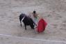 99Madrid_Corrida_1553