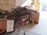 NYC_40_Chinatown_22