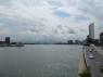 NYC_54_ONU_24