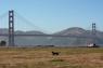 82_Presidio_4_Golden_Gate_Bridge_800