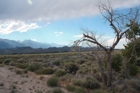 10_from_DeathValley_to_LonePine_46