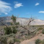 10_from_DeathValley_to_LonePine_62