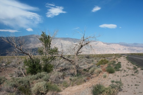 10_from_DeathValley_to_LonePine_62