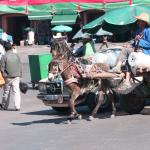 1Place_Jemaa_El_Fna_43_small
