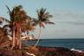 1_Puerto_del_Carmen_33