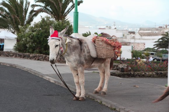 1_Teguise_16