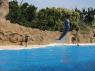 TN_Loro_Parque_28