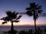 TS_Sunset_Palms_12