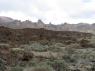 Teide_Boca_de_Tauce_26