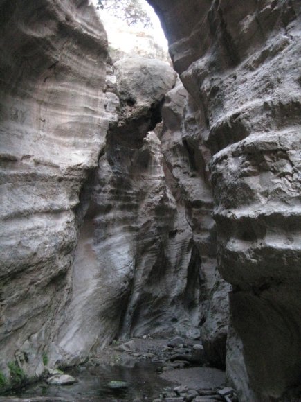 4t_Avakas_gorge_26