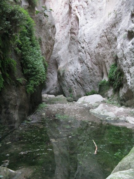 4t_Avakas_gorge_32