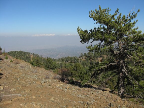 6t_Troodos_13