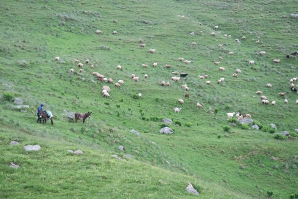 6_3_Kazbegi_48