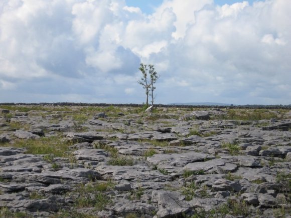 Burren_105