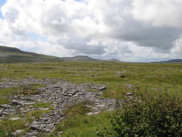 Burren_19