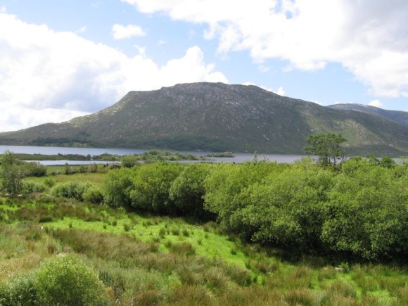 Connemara_021