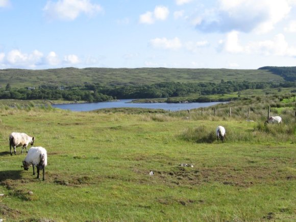 Connemara_147