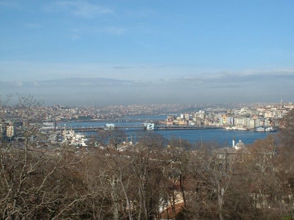 Dscf0087GoldenHorn