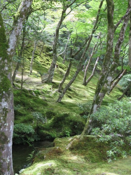 22_Ginkakuji_Temple_31_b