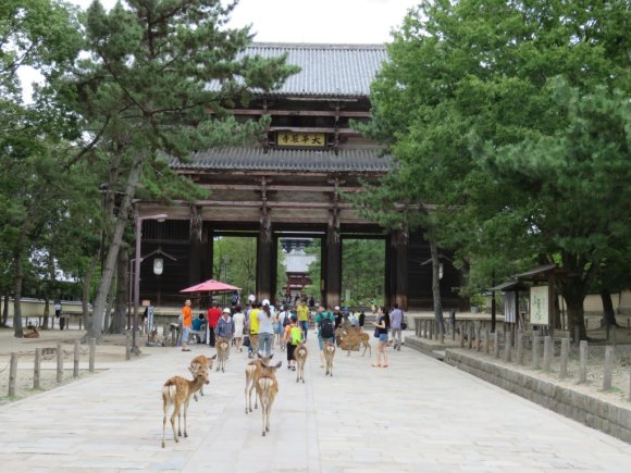 1_Todaiji_01_b