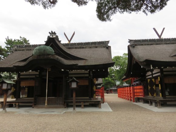 1_Sumiyoshi-Taisha_43_b